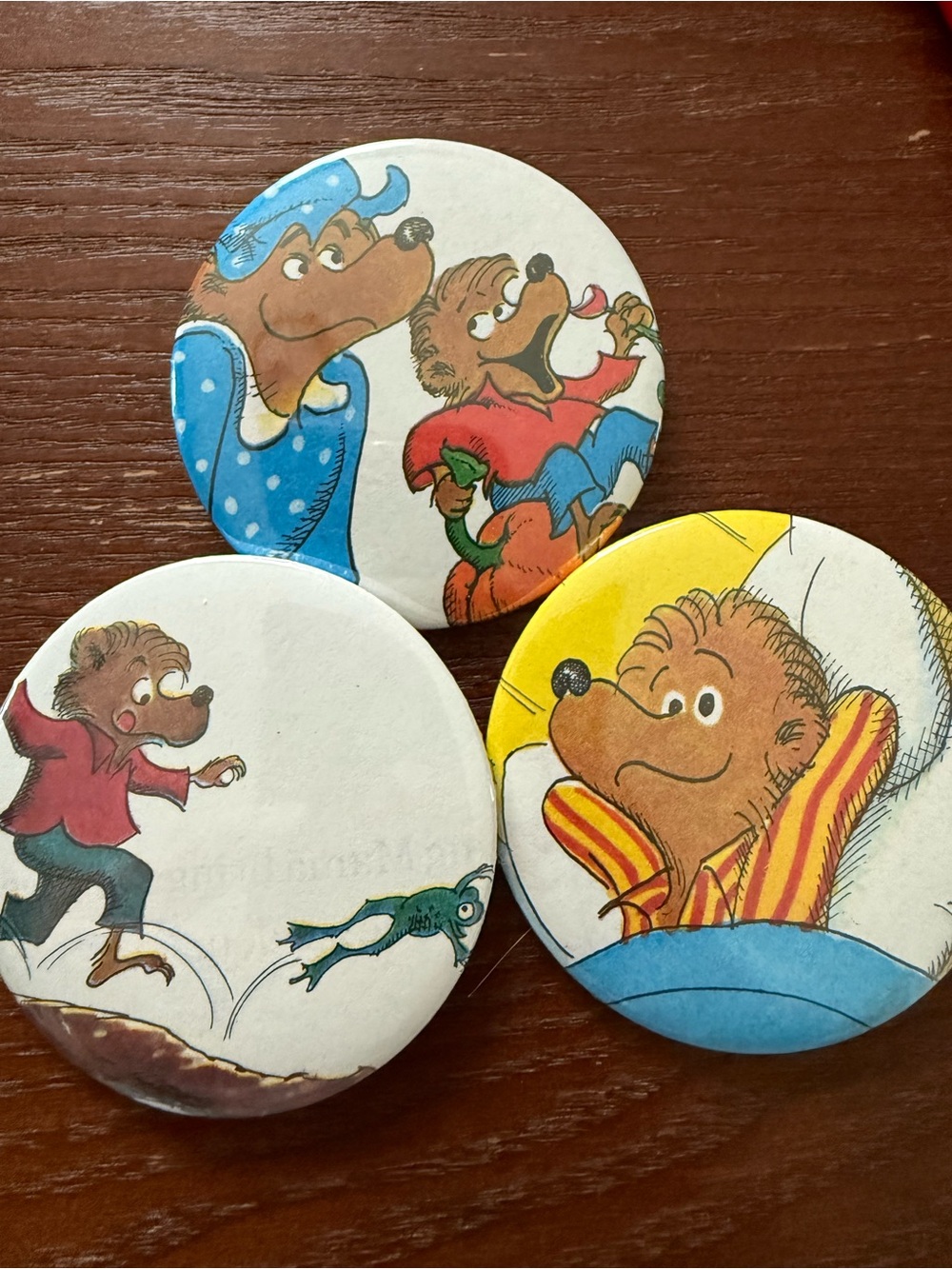 Berenstain Bear Button Pin Set - Multicolor